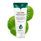 Cica Farm Rich Foam Cleanser